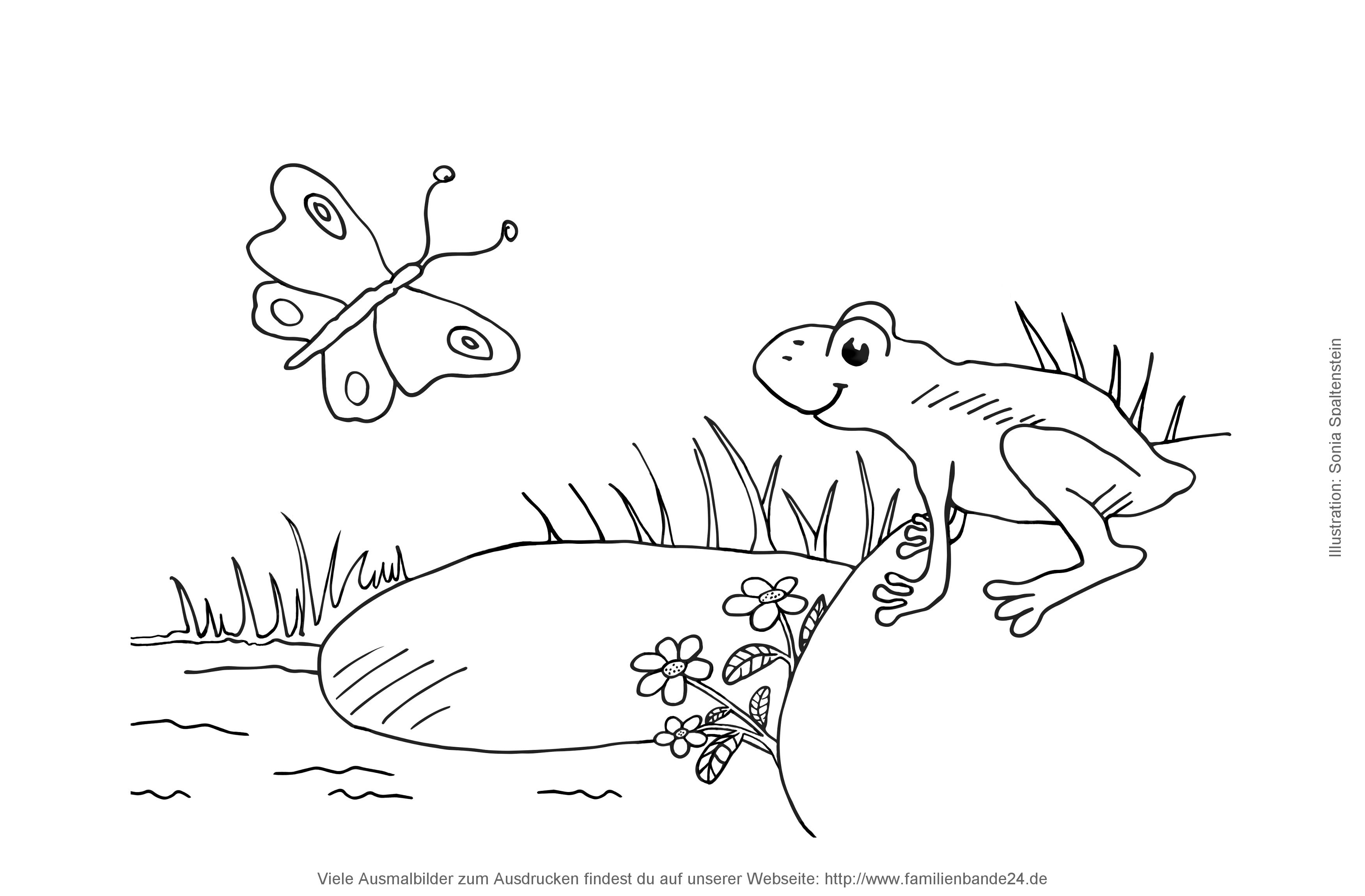 Illustration Ausmalbilder: Sonstiges