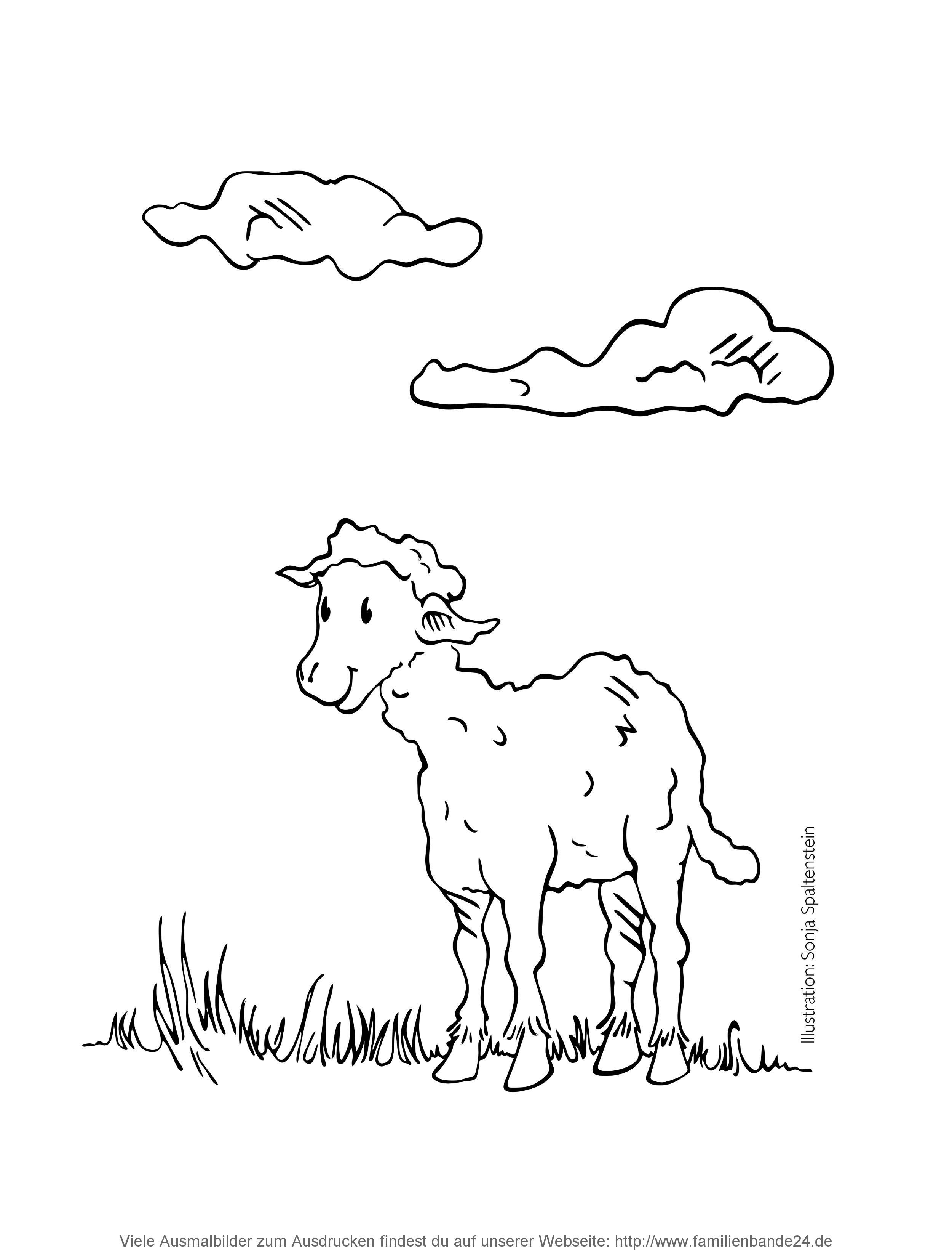 Illustration Ausmalbilder: Bauernhof