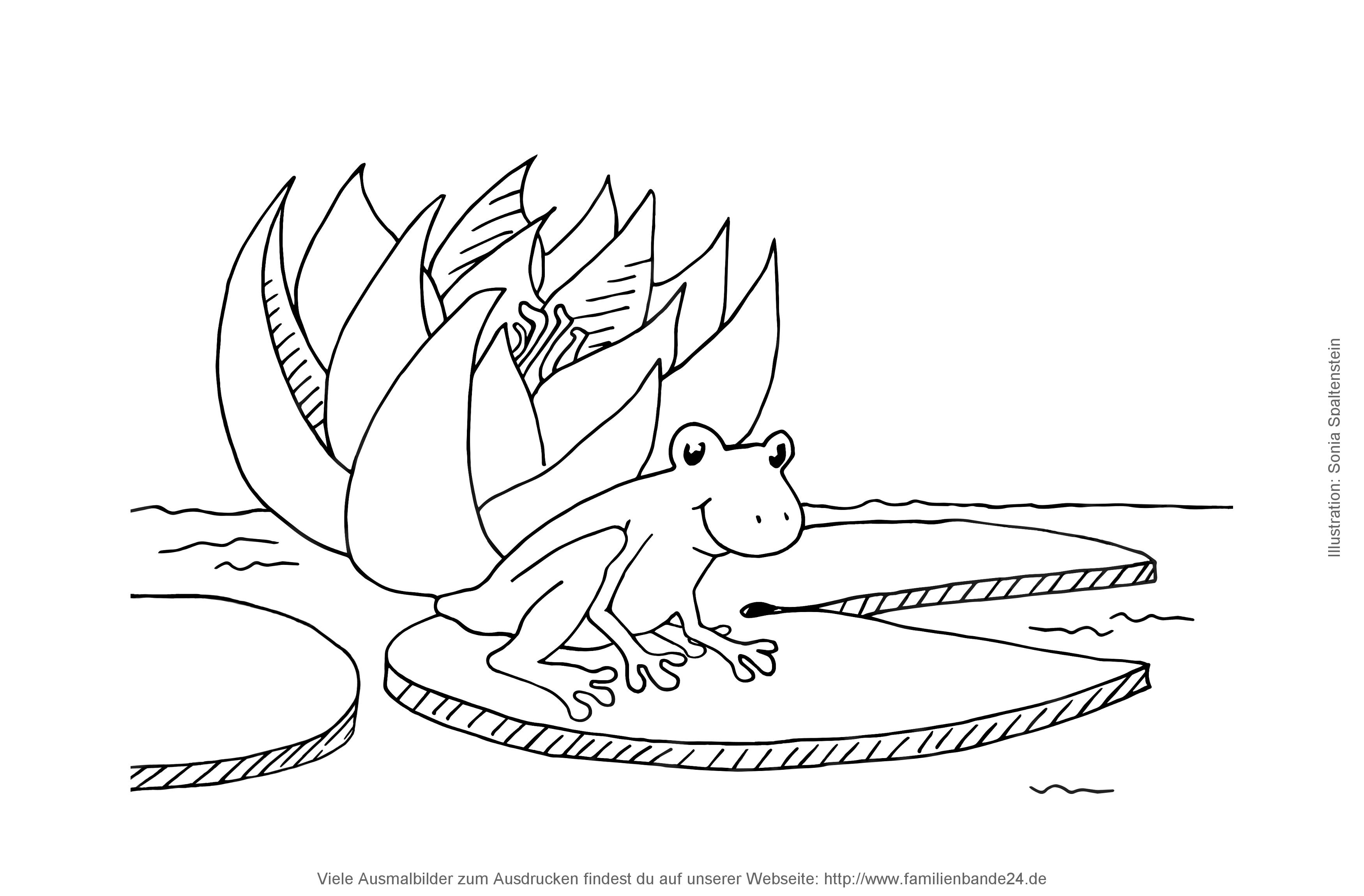 Illustration Ausmalbilder: Sonstiges