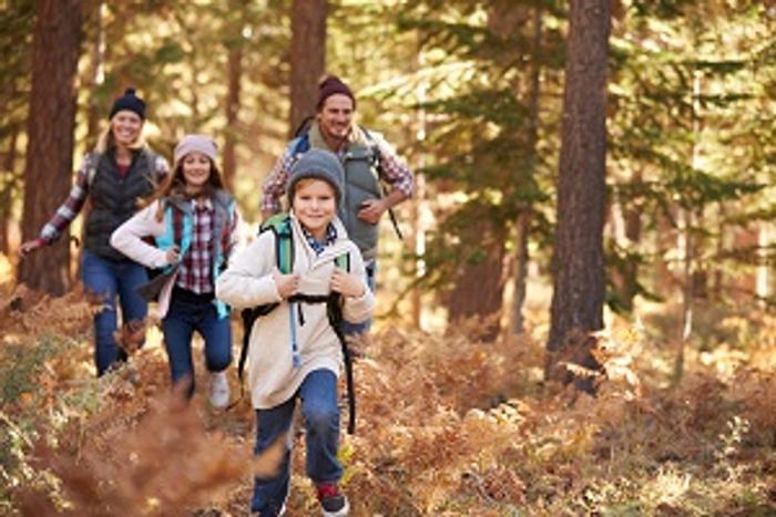 Vorschaubild zu Schöner wandern mit Kindern